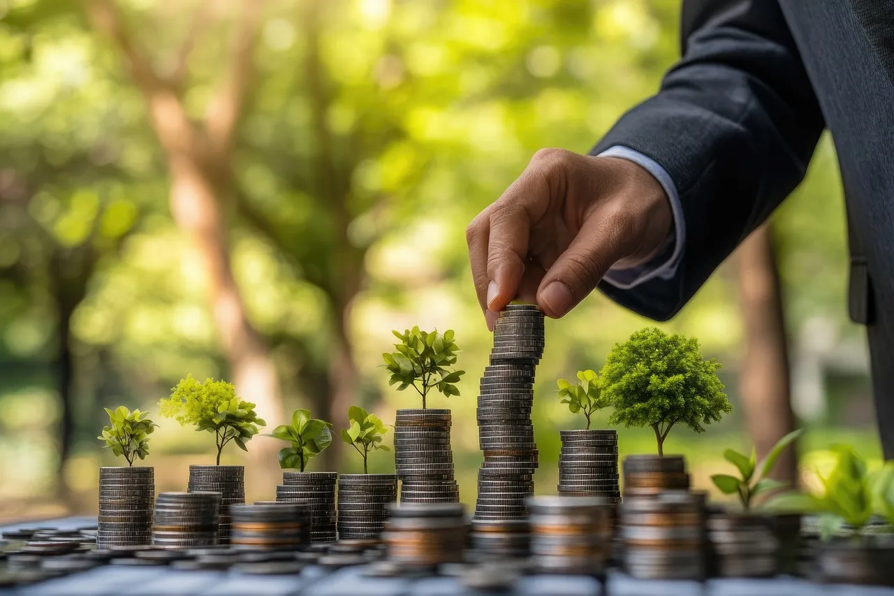 SERINVESTIA Patrimoine du dirigeant entreprise copie